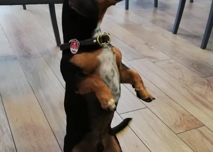 ベッド・アンド・ブレックファスト Casa Mafalda 3*