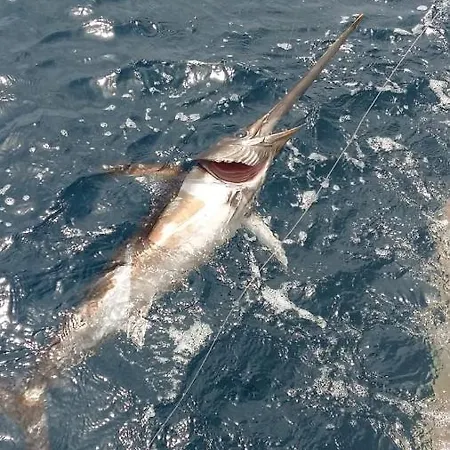 住宿加早餐酒店 卡萨马法尔达住宿加早餐旅馆 3*