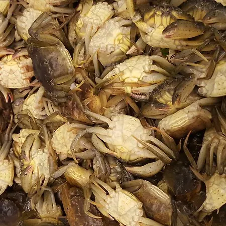 Casa Mafalda Oda ve Kahvaltı Chioggia