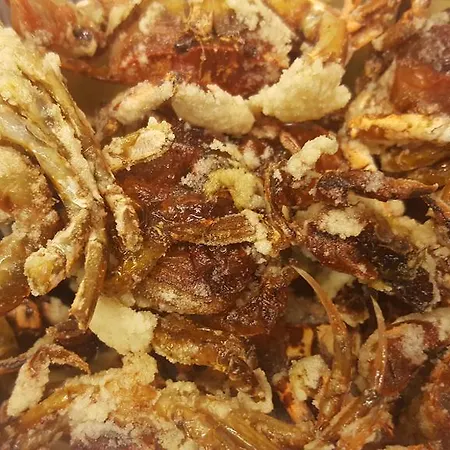 Casa Mafalda 3* Chioggia