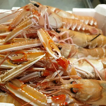 Casa Mafalda Chioggia