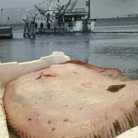 Oda ve Kahvaltı Casa Mafalda