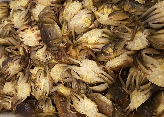 Casa Mafalda Bed & Breakfast Chioggia