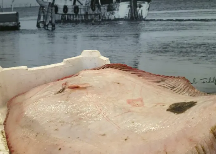 Bed & Breakfast Casa Mafalda